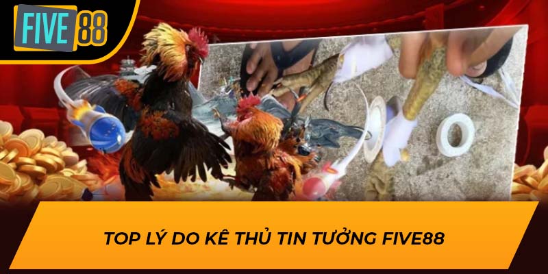 Trải Nghiệm Đá Gà C1 Đẳng Cấp Số 1 Cùng Nhà Cái Five88 3 Top lý do kê thủ tin tưởng Five88